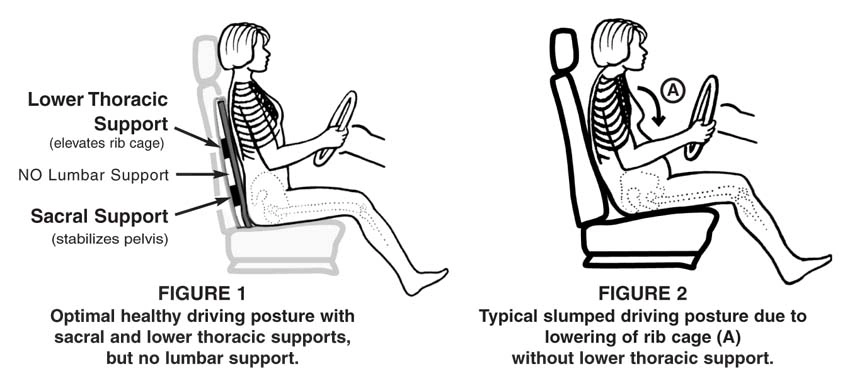 Chiropractor For Proper Driving Posture on Road Trips.